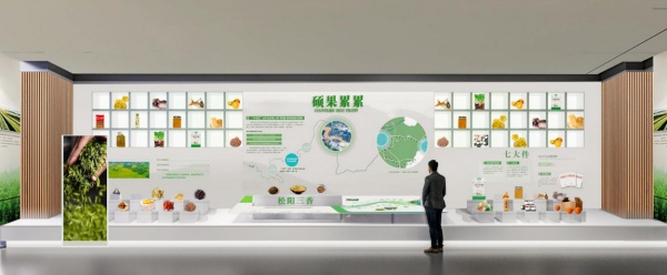 乡村振兴展厅设计